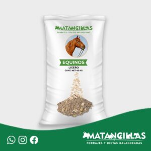 Equino Trabajo Ligero